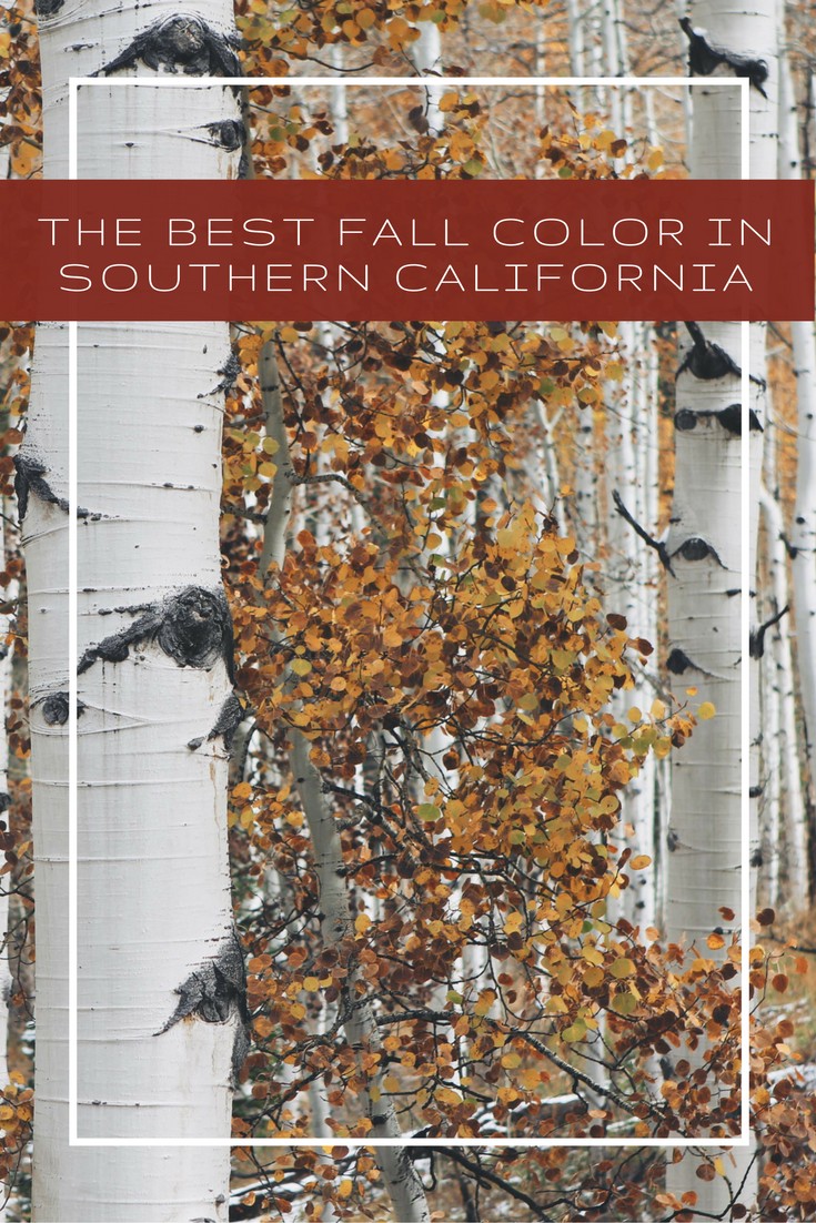 The-Best-Fall-Color-in-Southern-California